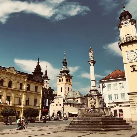 Apartament Bl View Apartment, 24hr Self Check-in, Free Private Parking, Panoramic View From Balcony, 5-minute Walk To Centre Bańska Bystrzyca